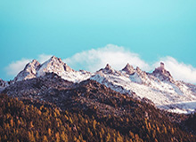 AIYOUXI-九游体育网地：让热爱运动的你拥有一个全方位的数字港湾